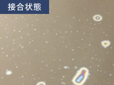 接合状態